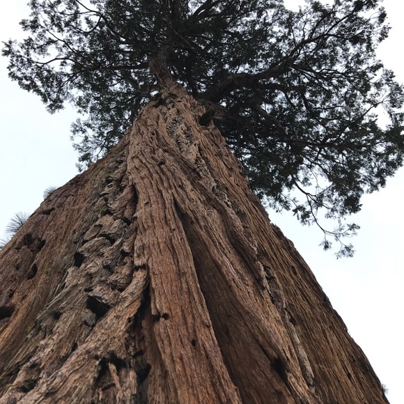 Meet your Posher, Cj - Picture 3 of 8